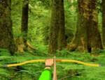 أهداف الغابات البرية